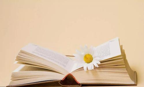 唐迟阅读理解做题方法